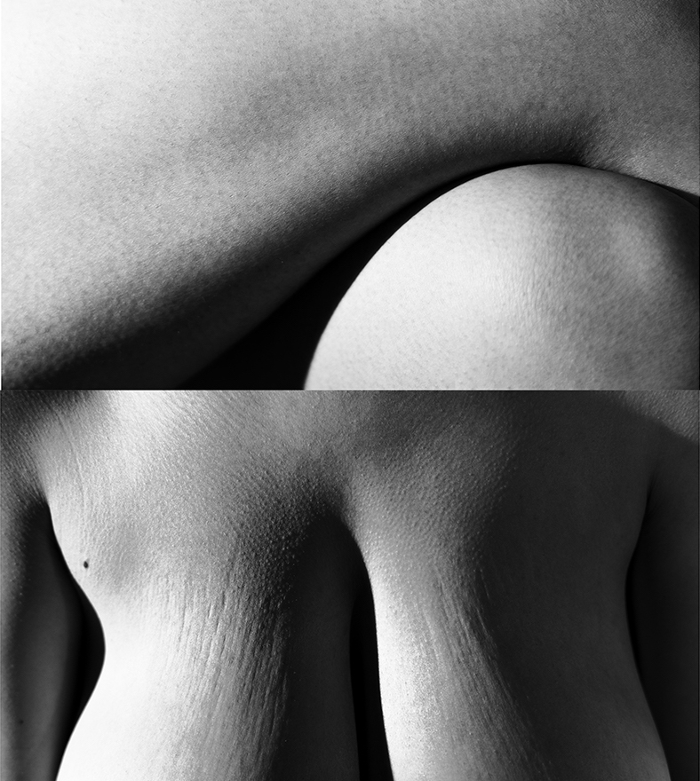 Body, 4