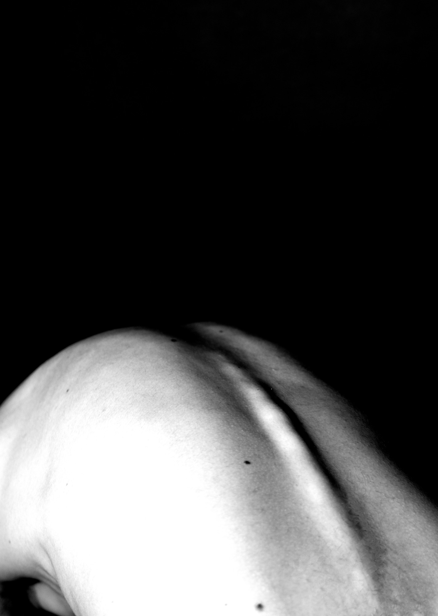 Body, 6