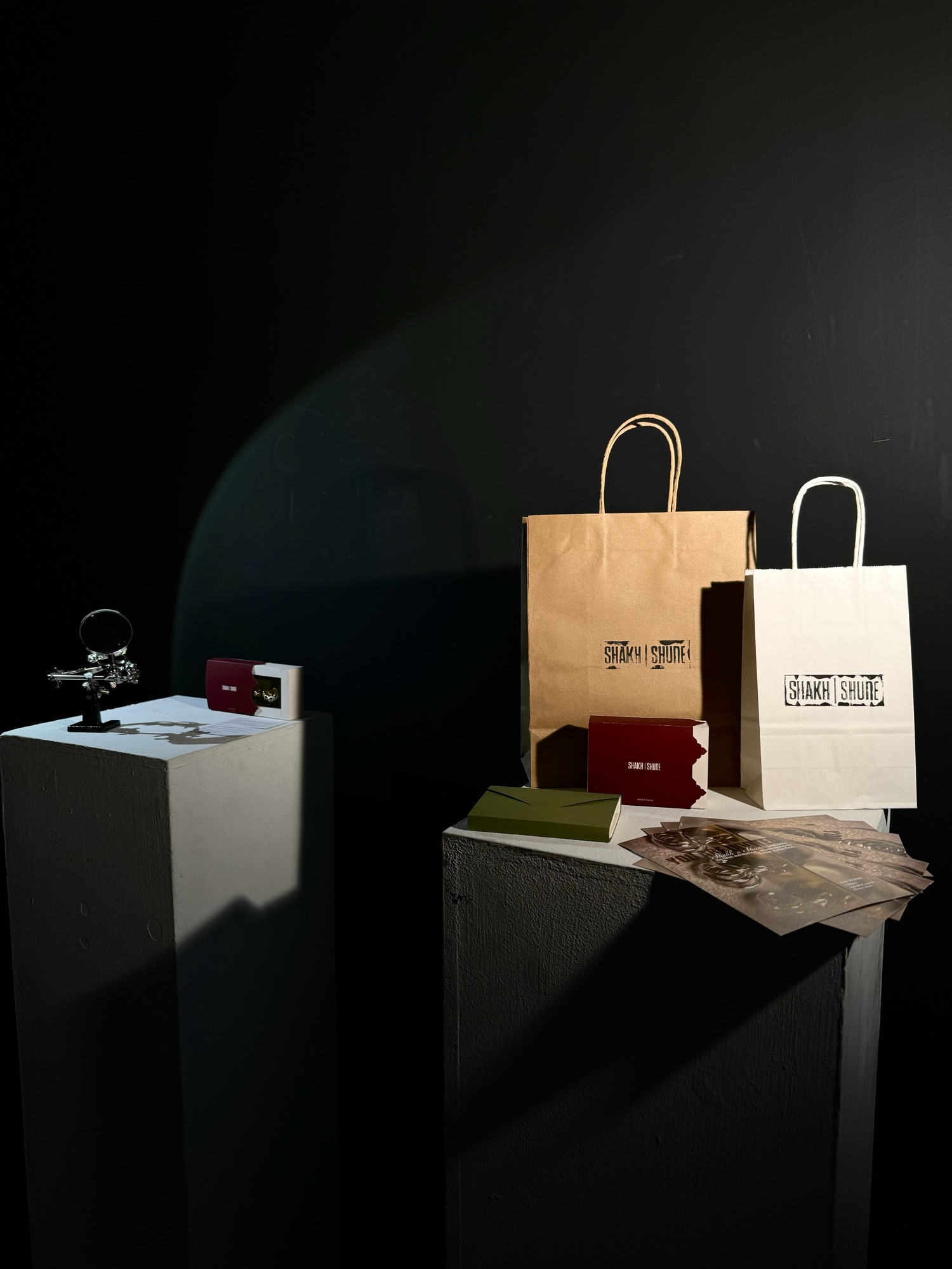 Shakh o Shune, Exhibition 1
