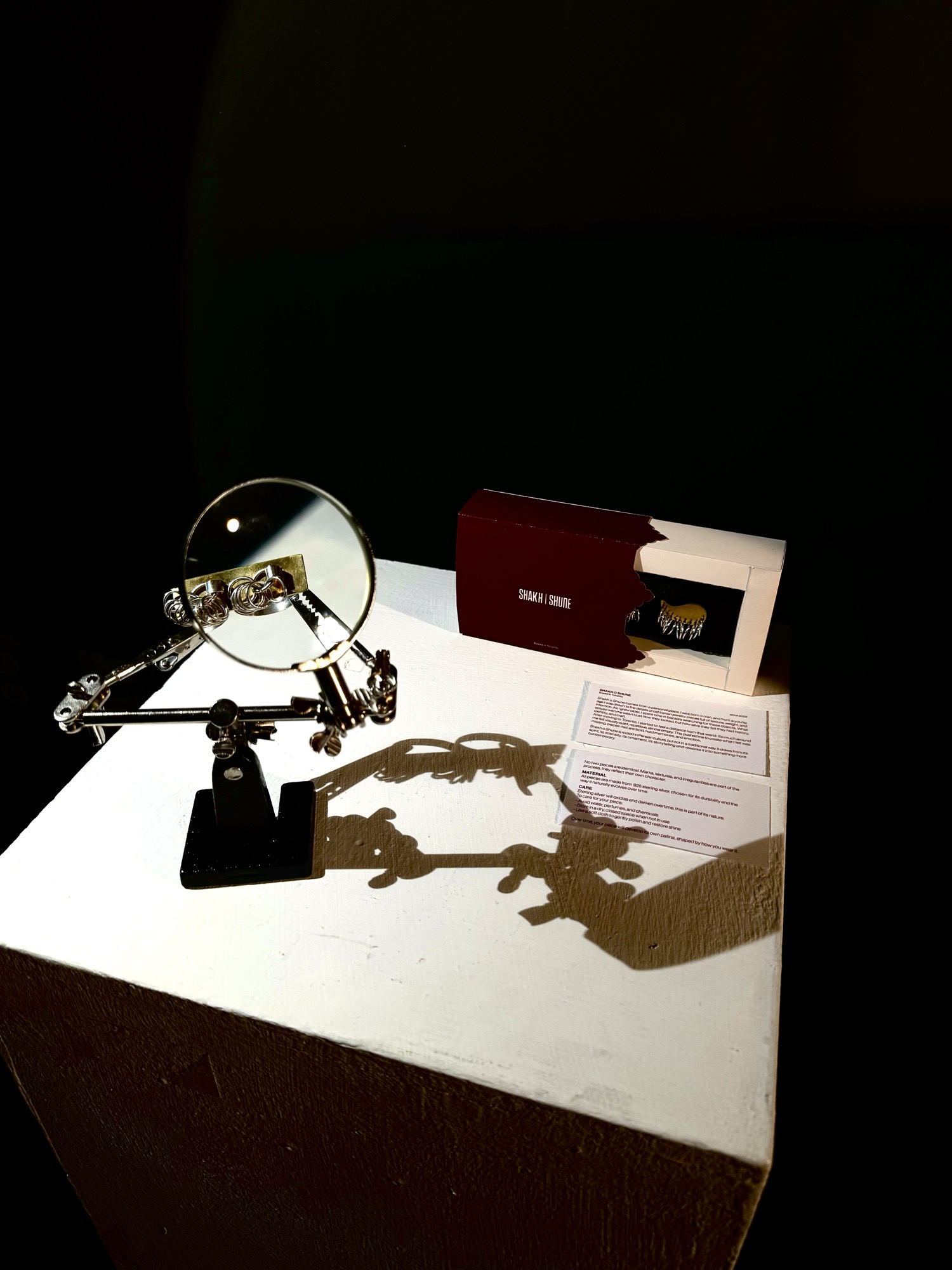 Shakh o Shune, Exhibition 2